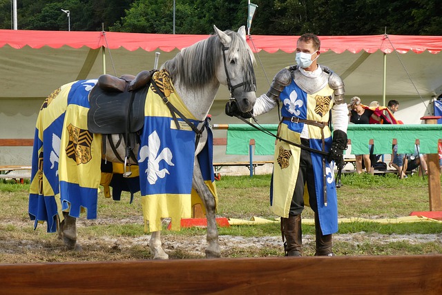 和战略启示 和战略启示
