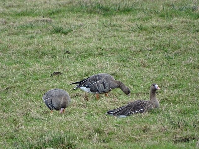 排行中感受 排行中感受