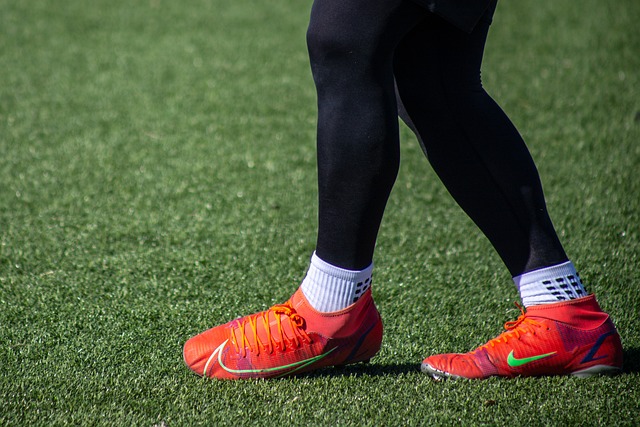 森林狼队的 森林狼队的