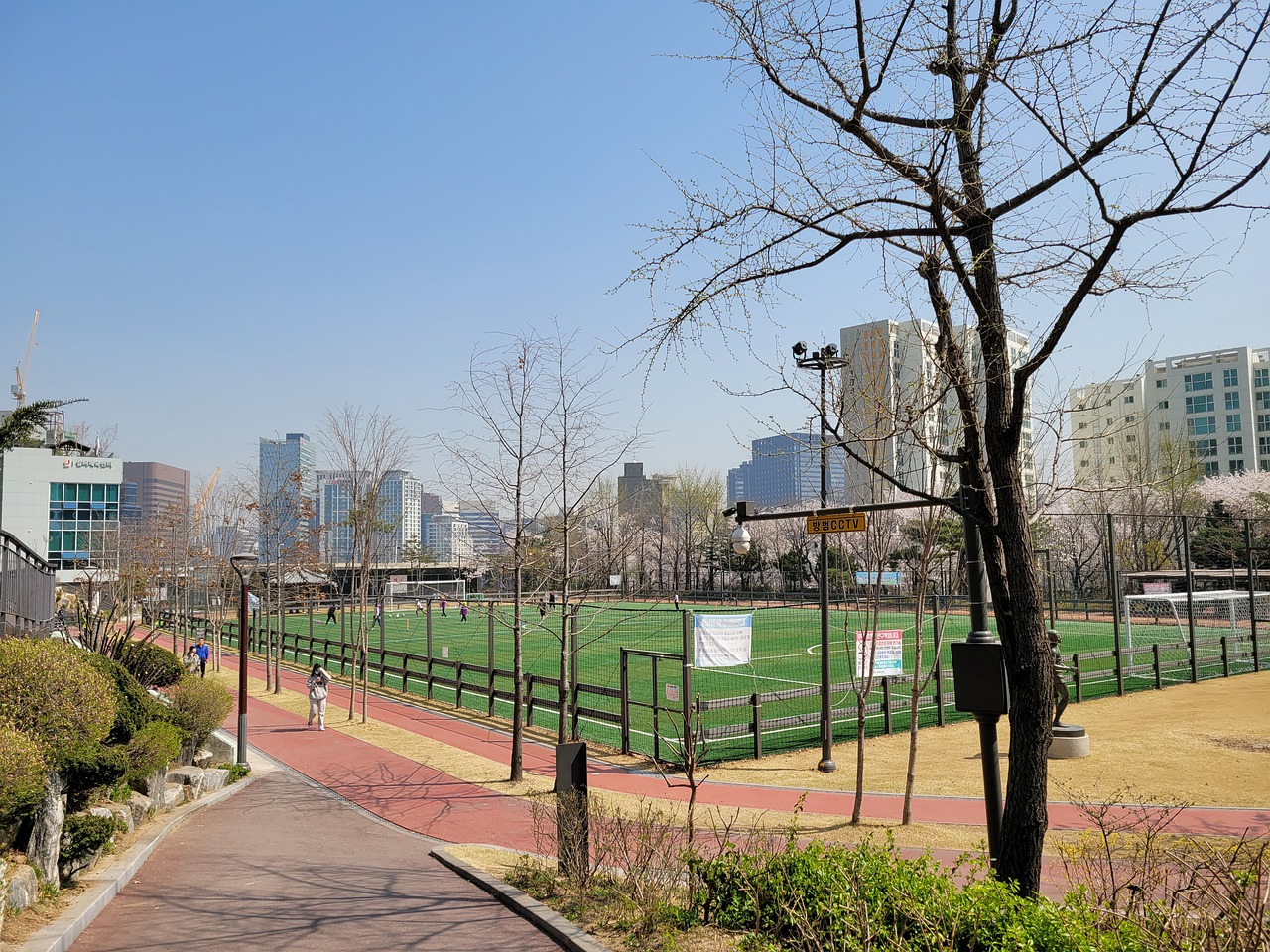 的果敢与稳 的果敢与稳