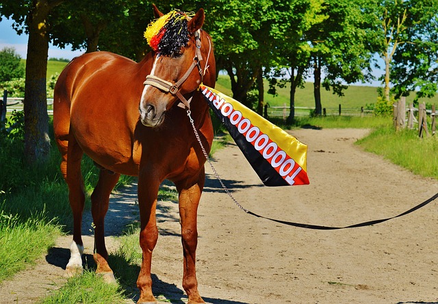 必须进行战 必须进行战