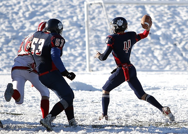 誓言全力以 誓言全力以