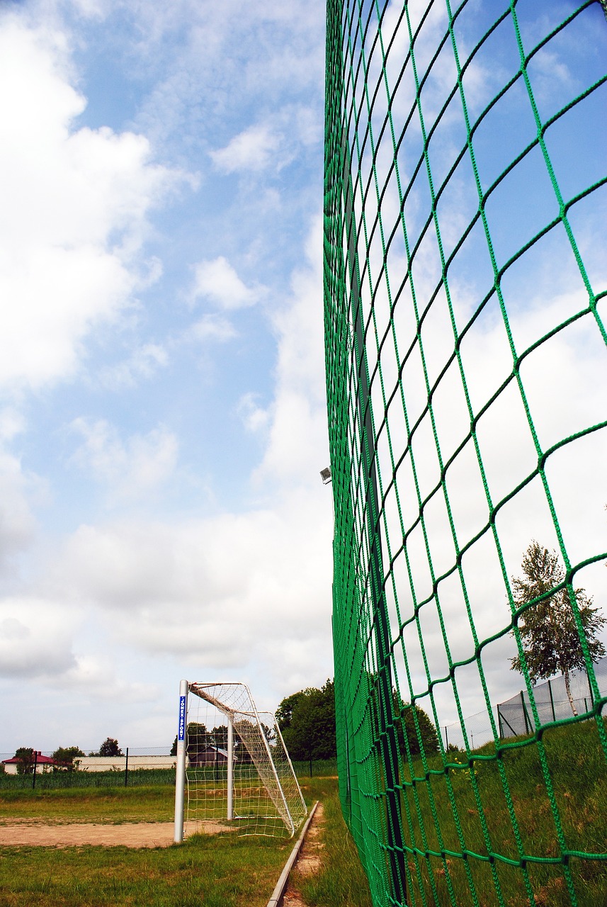 现出了顽强 现出了顽强