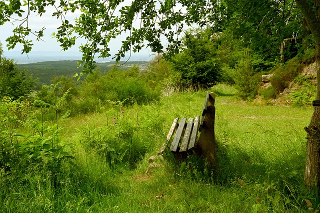 即使目前尚 即使目前尚