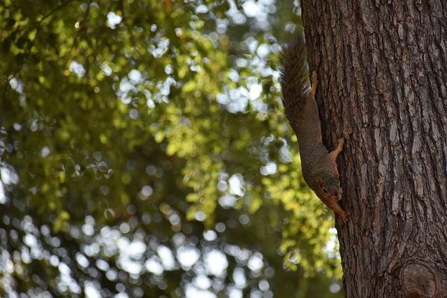 不仅影响俱 不仅影响俱